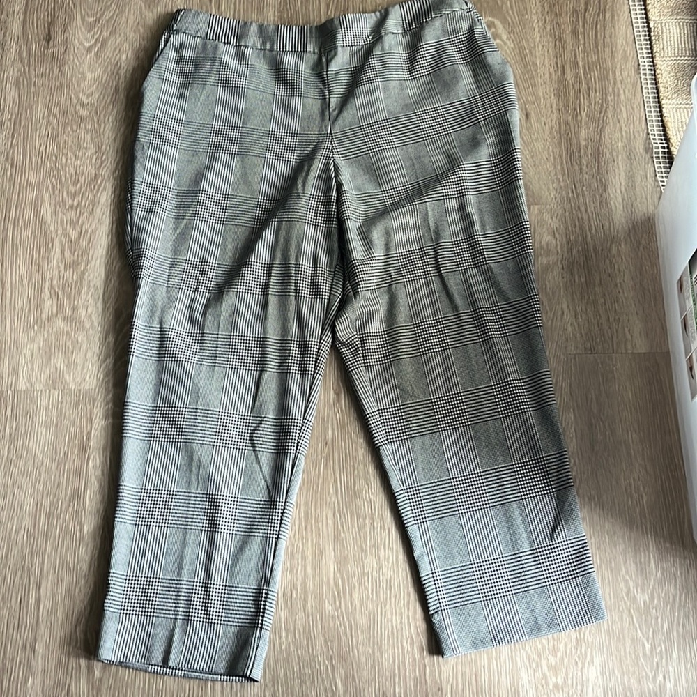 Worthington pant